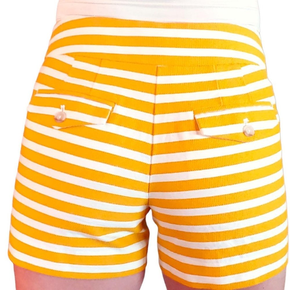 Ann Taylor Loft Striped Shorts Women's Sz 2